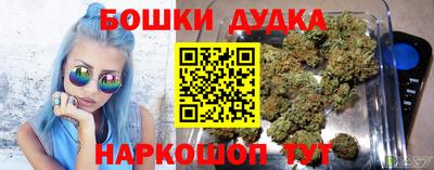 стаф Будённовск