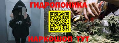 стаф Будённовск