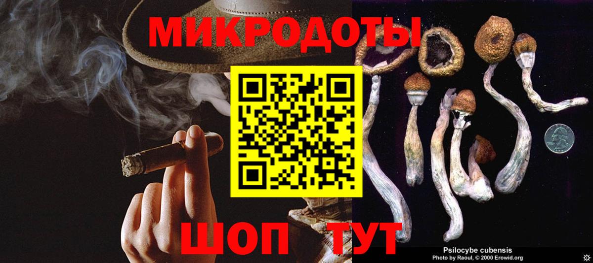 Коркино  Псилоцибиновые грибы MAGIC MUSHROOMS  Вход с VPN 