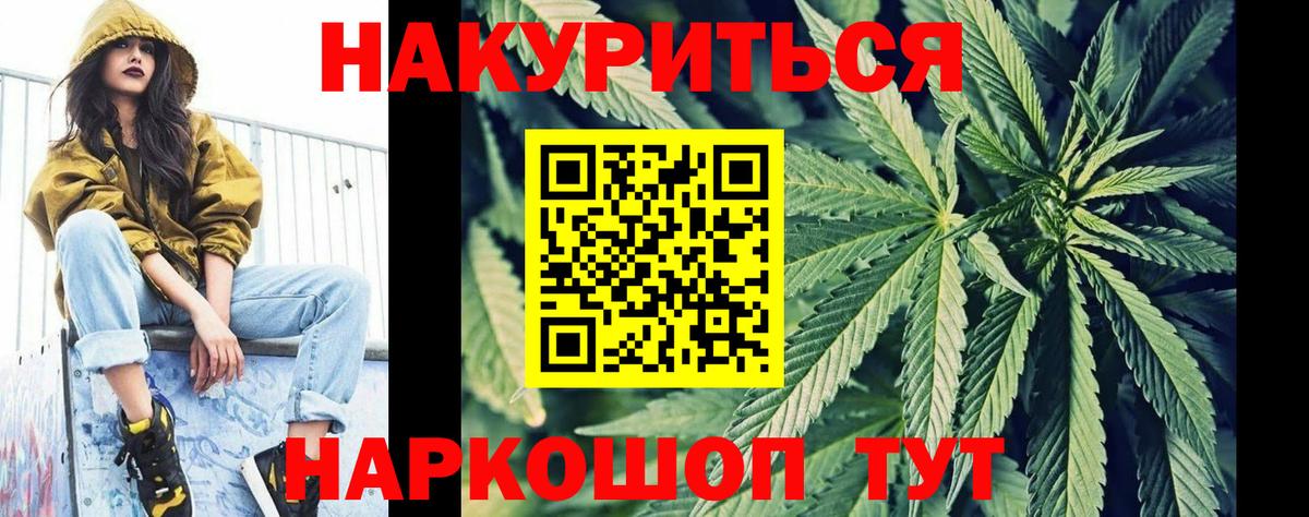 Каннабис сатива Коркино